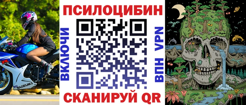 Купить закладки  Великие Луки  Псилоцибиновые грибы Psilocybine cubensis 